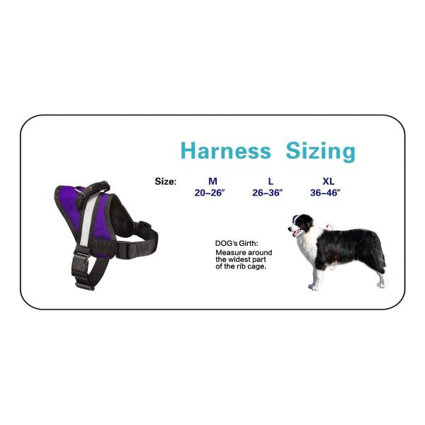Hassle Free Chest LED Dog Harness Double Security M L XL 7 Colors Optional