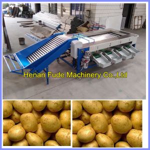 China potato grading machine , potato sorting machine wholesale