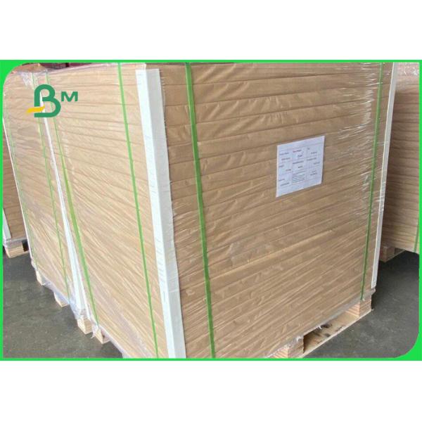 Gloss Text 128GSM C2S Paper For Annual Report 25 X 38inch High Speed Printing