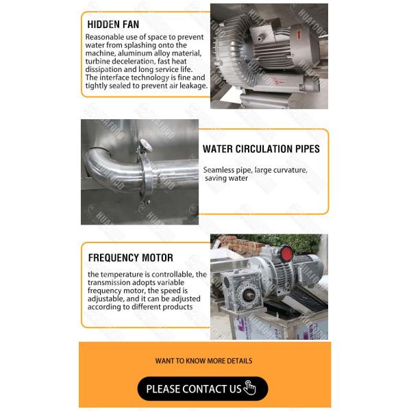 300kg/h Food Precooking Steam Vegetable Blanching Machine