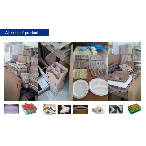 700pcs Paper pulp Molding Egg Carton box bottle tray Making Machine