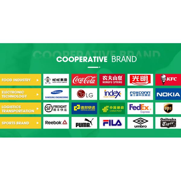 Customized Logo Tourtop Folding Plastic Crate for Fruits and Vegetables Acceptable OEM