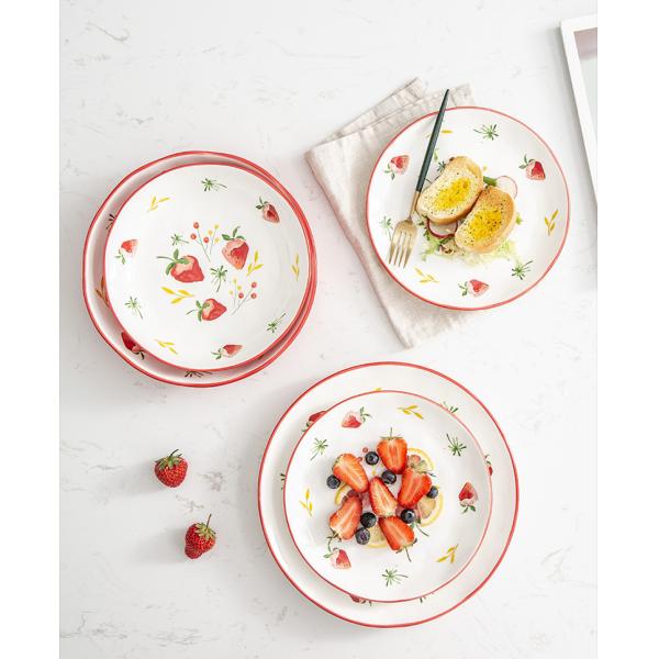 Savall 12 Piece Round Dinnerware Set FDA Ceramic Plates And Bowls