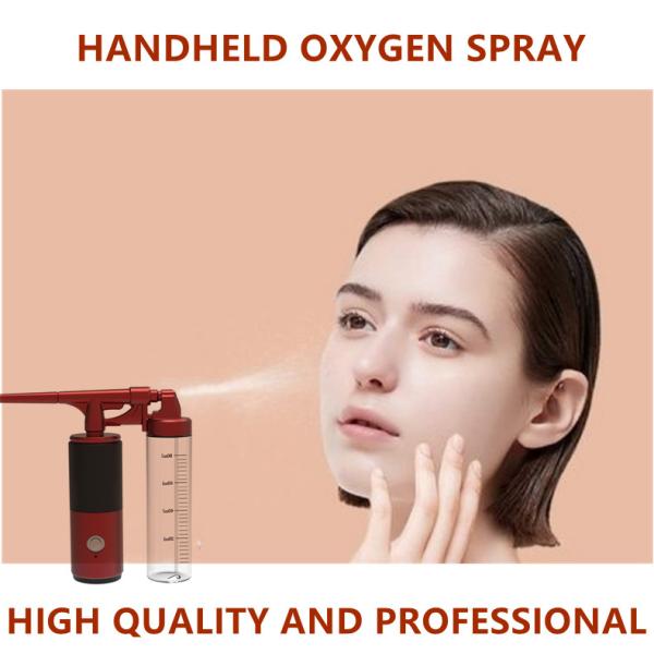Rejuvenating Skin Handheld Oxygen Injector Oxygen Sprayer 220g