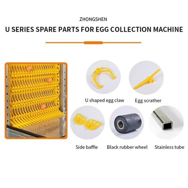 U Shaped Egg Scratcher For Poultry Farm Egg Collection System