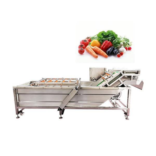 China 500kg/H 3.75KW SUS 304 Apricot Celery Washing Machine wholesale
