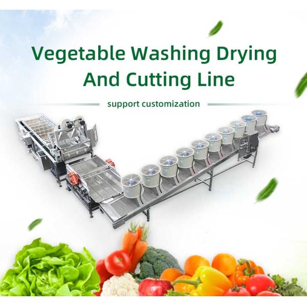 Fruit And Vegetable Cleaning Air-Drying And Cutting Machine Production Line For Canning