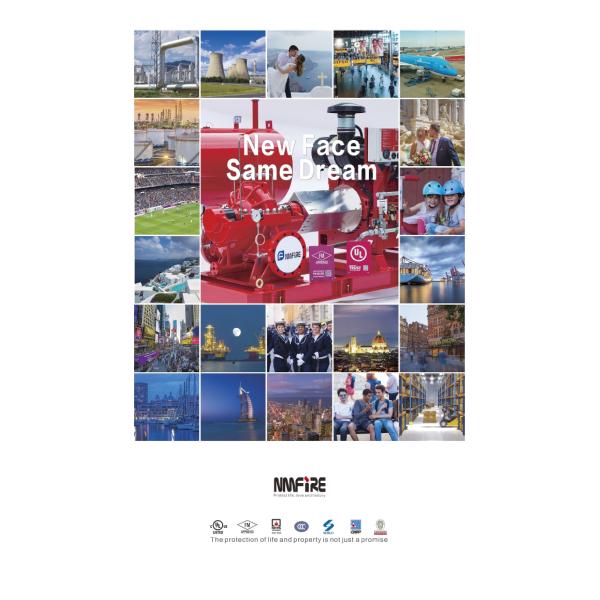 UL FM NFPA 20 End Suction Fire Pump For Schools,Office Buildings 45.4M3/H 98 m fire fighting system