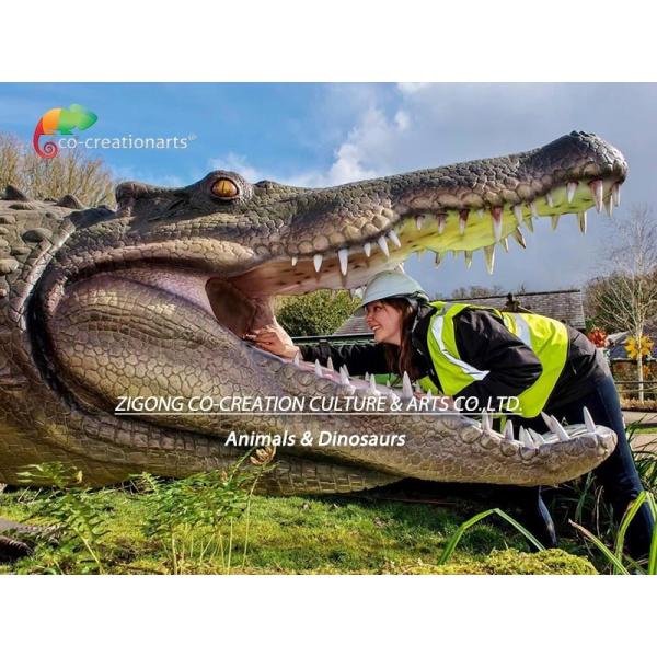 Life Size Animatronic Crocodile 3 meters