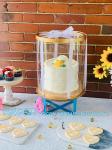 Tall Clear Cake Boxes With Ribbon - Gold Round Clear Cake Box For Birthday Cake