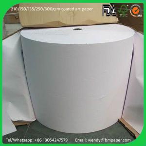 China Roll for A3 Bond Paper 50 gsm wholesale