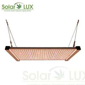 China HLG Board Indoor Plant Aluminum 2x2 Led Grow Light wholesale