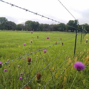 China Reliable Quality Barbed Wire Chain Link Fence Galvanized Surface Treatment wholesale