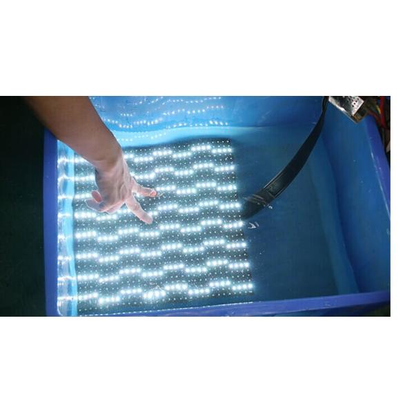 Large Digital Club Led Billboard Display Outdoor Video Display Full Color P10