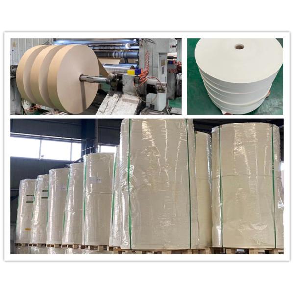 Eco-friendly PE Coated Paper Cup Bottom Roll 1550mm Virgin Wood Pulp