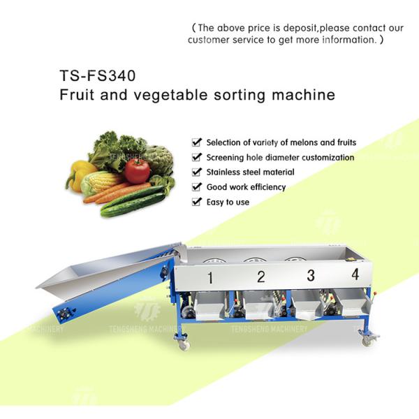 Connected Pipeline Jujube Fruit Sorting Machine Multifunctional