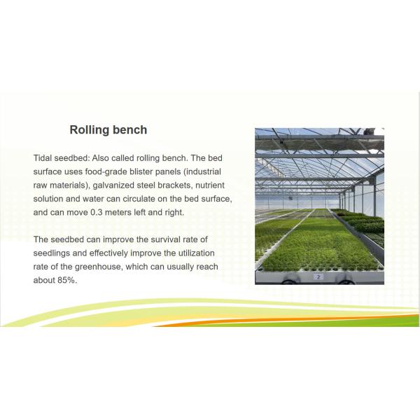 Venlo Greenhouse Commercial Polycarbonate Glass Greenhouse For Seeds Vegetables Hydroponic Tomato