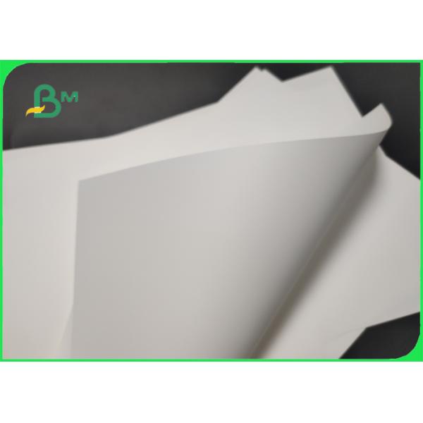Eco - friendly 80um 100um Synthetic Paper For Certificate Good Printing Eco Friendly 80um 100um Synthetic Paper For Certificate Good Printing