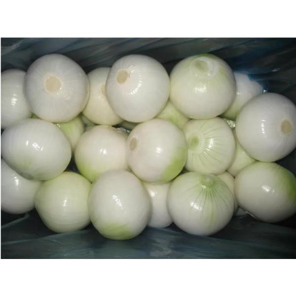 Commercial Onion Peeler Onion Peeling Machine Price Onion Peeling Machine Skin Peeler