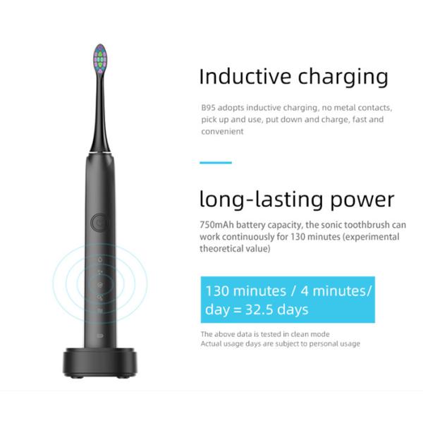 Automatic Timing Adult Electric Toothbrush IPX7 Sonic Teeth Whitening Electric Toothbrush