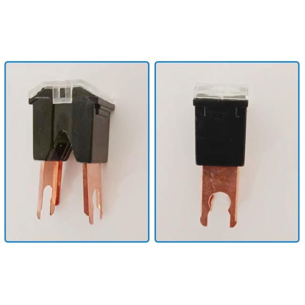 FLM C Male Type Slow Blow Fuse Automotive Jcase Link 20A 50A 80A 100A DC 32V