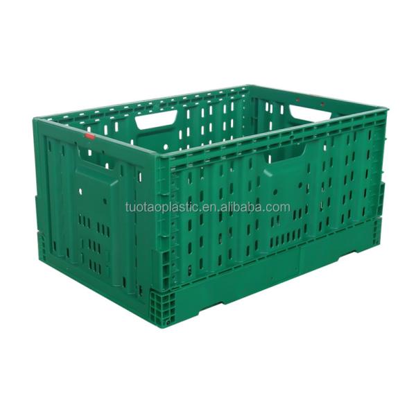 Foldable PP Mesh Crate Box Design for Convenient Storage of Fruits and Vegetables