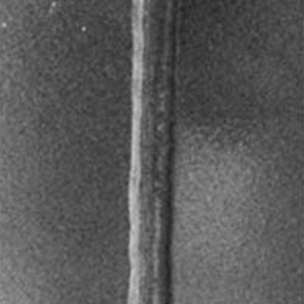 95KG 300L 8BAR Pressure Air Compressor Storage Tank 1664*420mm