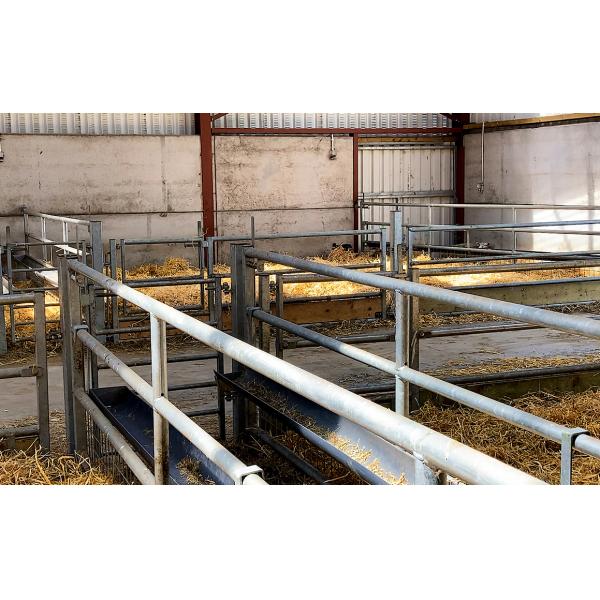 Prefab Steel Structure Sheep Shed Farm Building Design made of Q235 Low Carbon Steel
