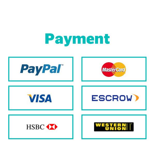 Antibacterial Adult 3 Ply Disposable Face Mask