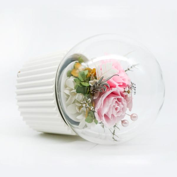 3-5 Years Lasting Preserved Rose Glass Dome Beautiful Home Decor Day Gift