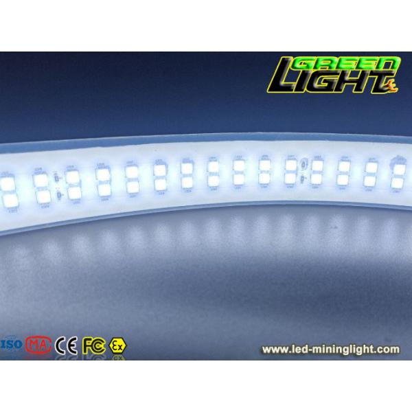 220VAC 2362lum Double Row Led Strip SMD5050 33W/M Flexible