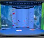 Indoor Transparent Curved Video Wall Displays Sliding