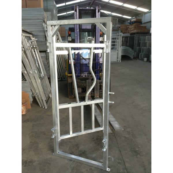 Carbon Steel 2.25m Height Livestock Handling Equipment For Cattle Yard