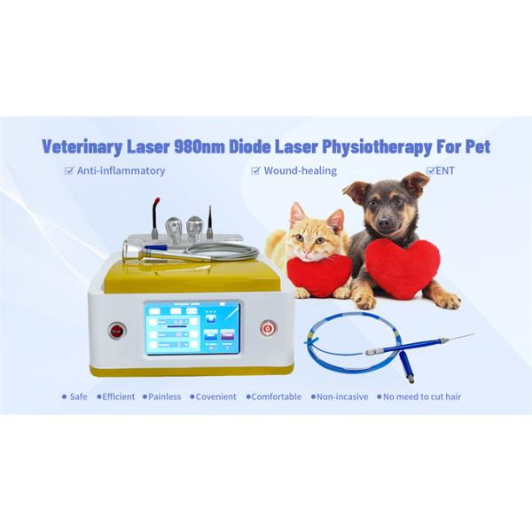 980nm Diode Veterinary Laser Therapy For Pets Wound Healing