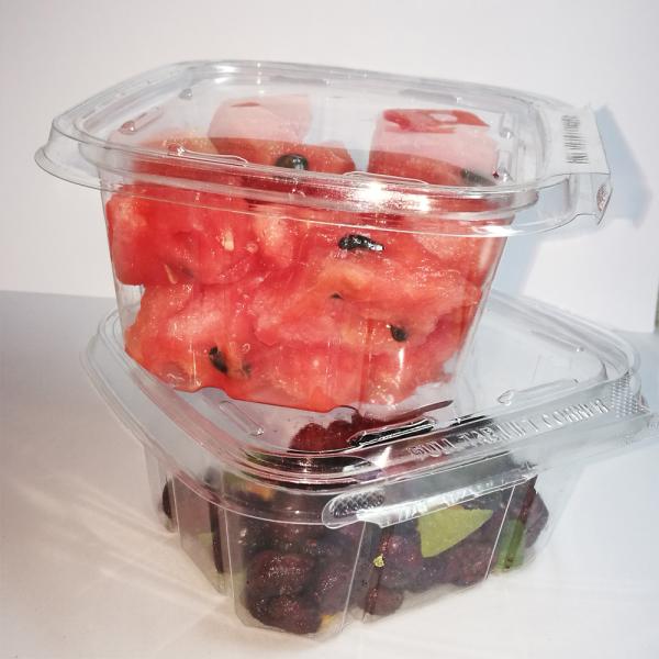 Stackable Tamper-Resistant Clear Hinged Container with Lid for Food Packaging
