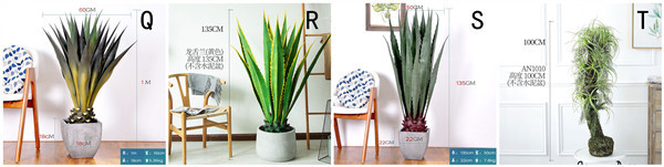 ISO Desert Snake Plant Artificial Bonsai Tree Tiger Piran Aloe Sansevieria Seeds