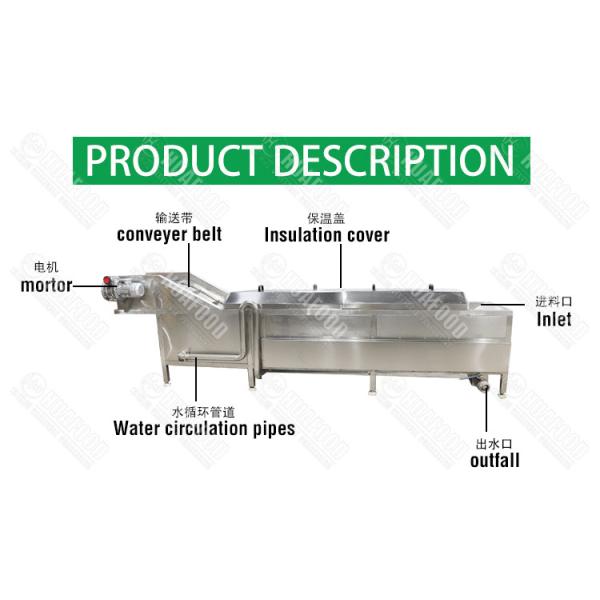 300kg/h Food Precooking Steam Vegetable Blanching Machine