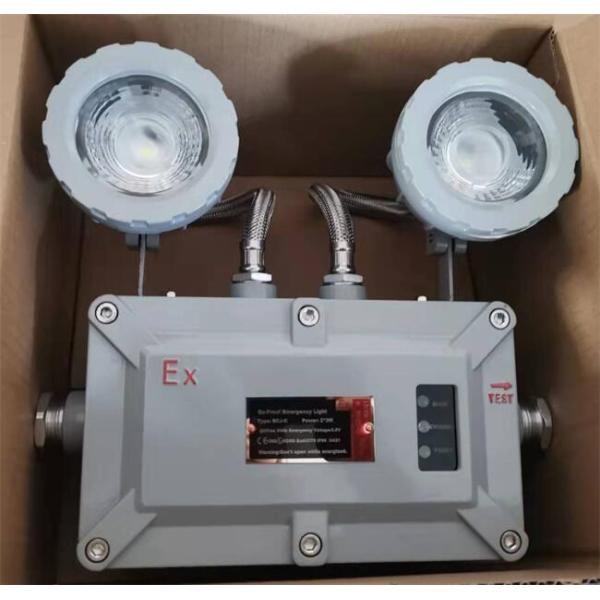 2x3w IP65 Explosion Proof LED Emergency Light Rechargeable Light