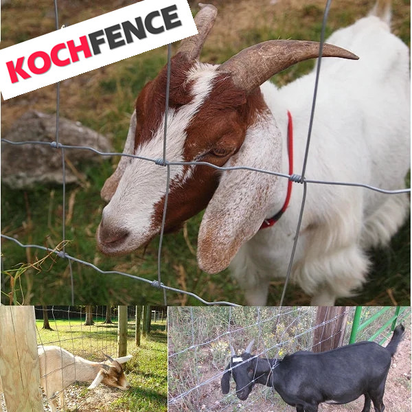 Farm Use Field Wire Fence / High Tensile Game Fence Weather Resistant Durable