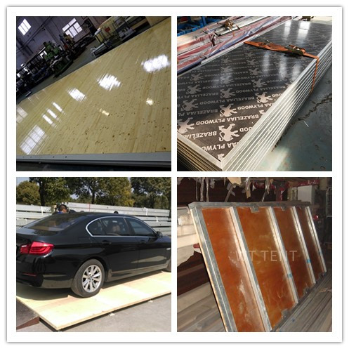 Waterproof Geodesic Dome Tent Aluminum Frame UV Resistance Cover