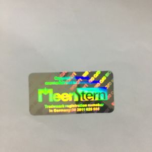 Tamper Evident Holographic Security Labels Stickers for Packing
