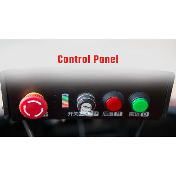 Amusement Park Junior Racing Go Kart