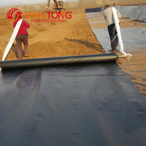 HDPE Geomembrane Black Impervious Membrane for Fish Pond Waterproofing in Aquaculture