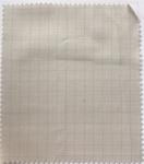 Plain 1/1 Continue Dyed Anti Static Fabric