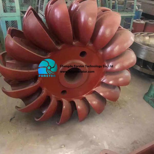 Low Head Turbine Power Generator Hydroelectric Wheel Generator Durable