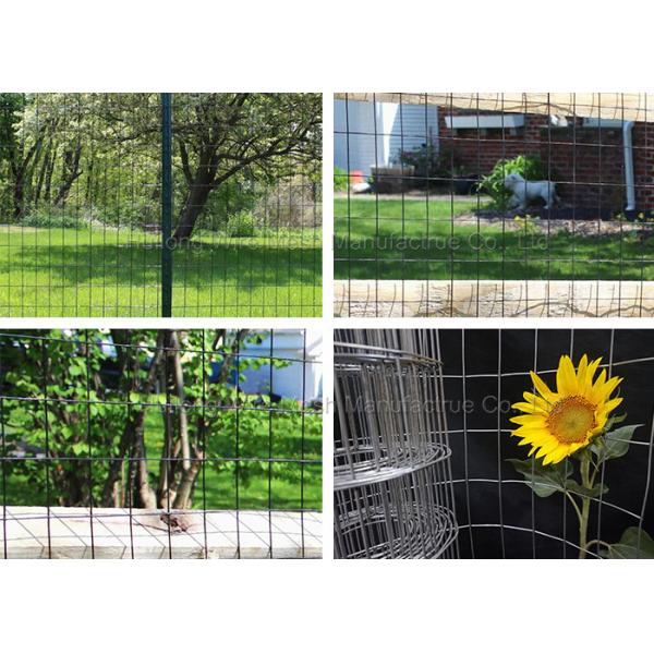 14 Gauge Welded Wire Mesh Rolls 36inch X 50ft Rectangle Openings for Garden