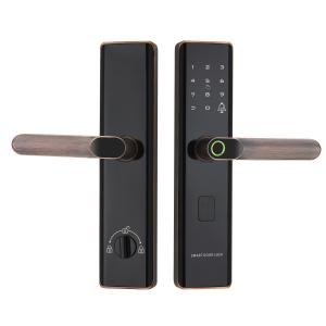 China Euro Intelligent Door Lock Tuya Biometric Fingerprint Lock Black wholesale