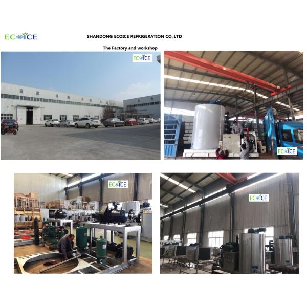 ECOICE plate ice machine Project Cases