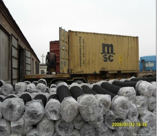 PVC Coated Chain Link Fence