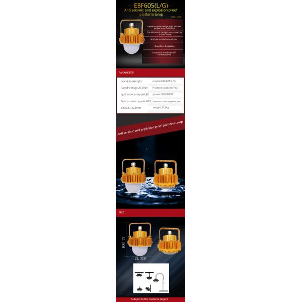 OEM Waterproof 80w 100w LED Explosion Proof Light Fixture 120L/M